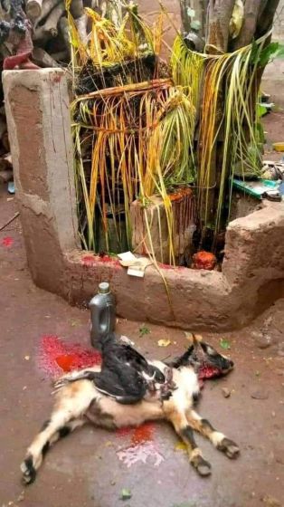 +27672740459 #Powerful Lost Love Spells, #Psychic Reading, #Traditional Healing, #Wealth Rituals, #Protection Spells, #Voodoo Revenge Spells.